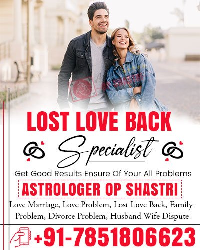 Famous Astrologer OP Shastri